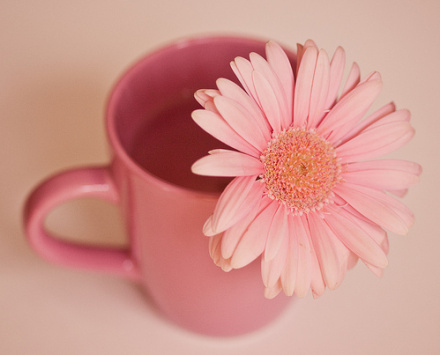 励志人要学习的名人名言(图1) 励志人要学习的名人名言(图1)