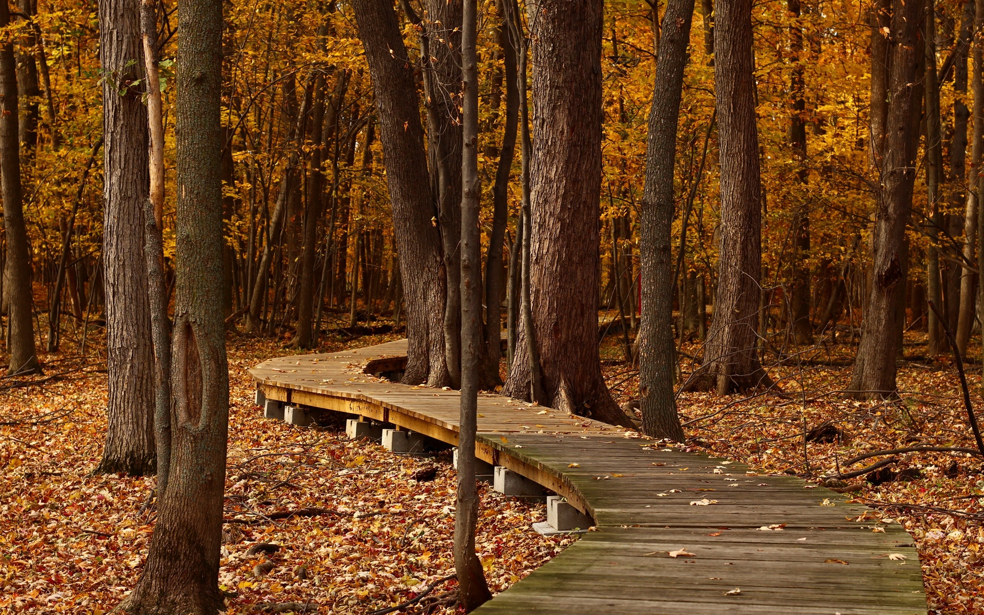 励志名言壁纸100张(励志句壁纸)(图1) 励志名言壁纸100张(励志句壁纸)(图1)