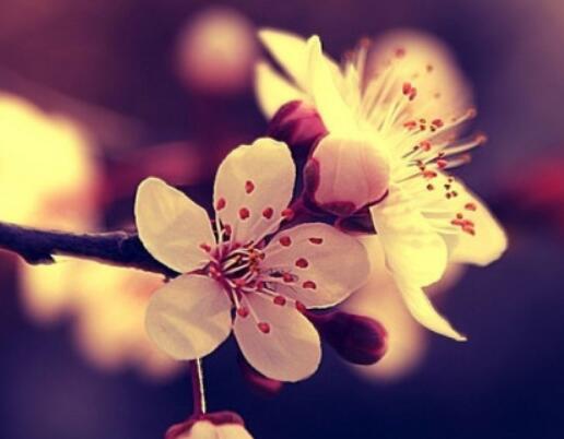 励志名言书签简单又好看(有名言名句创意的书签图片大全集)(图1) 励志名言书签简单又好看(有名言名句创意的书签图片大全集)(图1)