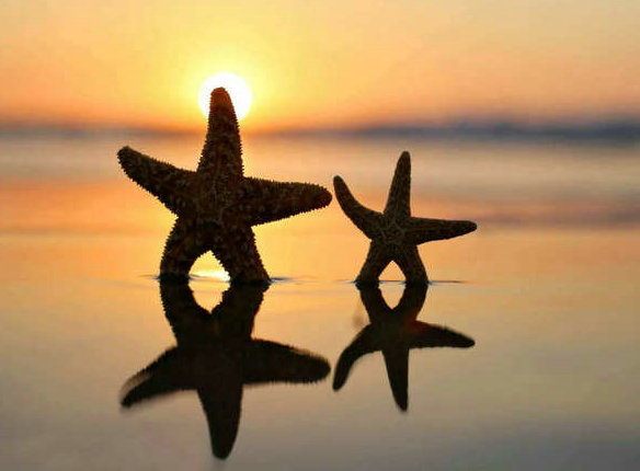 励志名言明天情人节(关于明天情人节的说说)(图1) 励志名言明天情人节(关于明天情人节的说说)(图1)