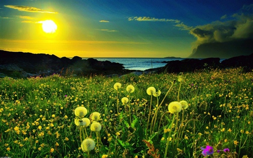 励志的勇气的句子（励志的勇气的句子有哪些）(图1)