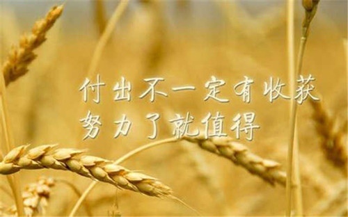 勤奋好学名言名句励志（关于勤奋好学的名言警句格言）(图1)