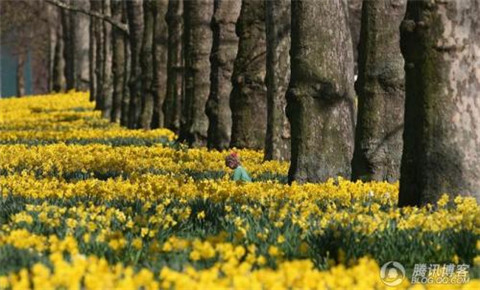 励志走出阴影短句(励志走出阴影短句子)(图1) 励志走出阴影短句(励志走出阴影短句子)(图1)