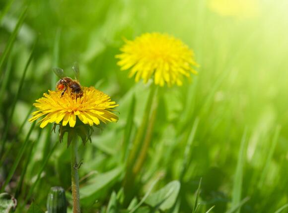 励志远离小人的句子(针对小人的励志话语)(图1) 励志远离小人的句子(针对小人的励志话语)(图1)