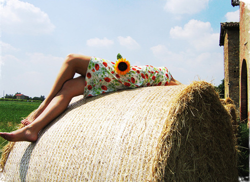 千里冰封的唯美句子（用千里冰封造句子）(图1)