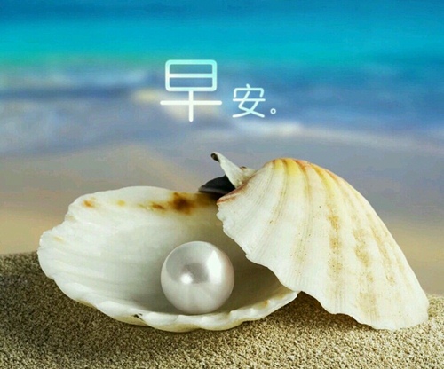 华罗庚说的数学的格言（著名数学家华罗庚的故事50字）(图1)