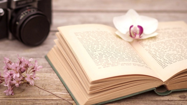 单眼皮的女生唯美短句（单眼皮的姑娘名句搞笑）(图1)