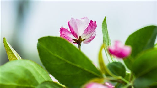 化悲痛为力量励志语录(化悲痛为力量体现了什么)(图1) 化悲痛为力量励志语录(化悲痛为力量体现了什么)(图1)