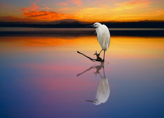 历史学家的励志名言(历史学家的名言名句)(图1) 历史学家的励志名言(历史学家的名言名句)(图1)