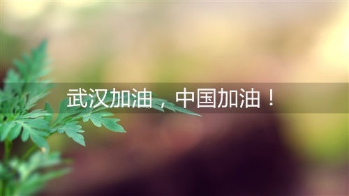 十个字句子唯美短句(优美句子短句十个字)(图1) 十个字句子唯美短句(优美句子短句十个字)(图1)