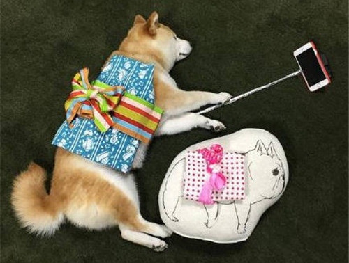 古人智慧的名言警句（古人智慧的名言警句大全）(图1)