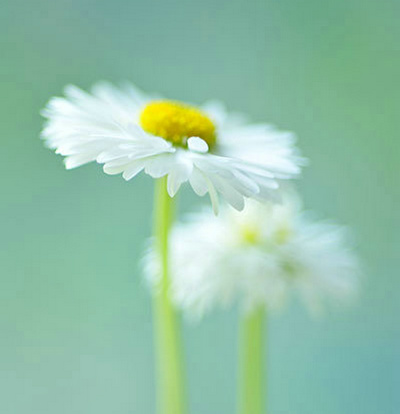 即刻启程文案短句(即刻出发的文案)(图1) 即刻启程文案短句(即刻出发的文案)(图1)