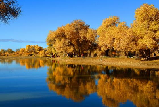 古文情话短句古风作文(简短情话古风诗词唯美)(图1) 古文情话短句古风作文(简短情话古风诗词唯美)(图1)