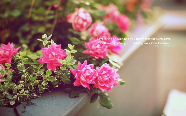 厨房做饭经典语录(厨艺经典语录)(图1) 厨房做饭经典语录(厨艺经典语录)(图1)