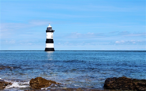 可爱的玫瑰唯美句子（玫瑰的唯美短句）(图1)