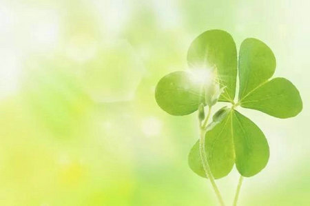 口头禅的十大经典语录(图图口头禅)(图1) 口头禅的十大经典语录(图图口头禅)(图1)