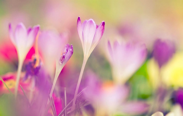 古人关于立志的格言(关于立志的古代名言警句)(图1) 古人关于立志的格言(关于立志的古代名言警句)(图1)