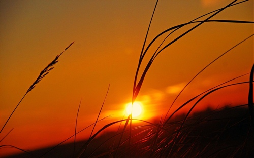 司马光砸缸文言文短句（司马光砸缸文言文阅读题）(图1)