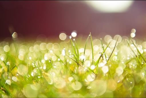 名人名言加赏析加感悟（名著摘抄及心得体会）(图1)