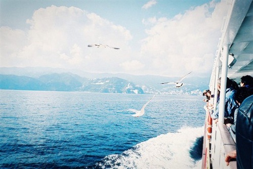 名言警句为学患无疑（名言警句为学患无疑的下一句）(图1)