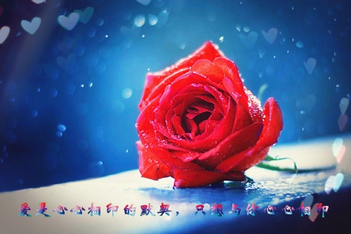 名言警句励志学习的话(名言警句大全经典励志)(图1) 名言警句励志学习的话(名言警句大全经典励志)(图1)