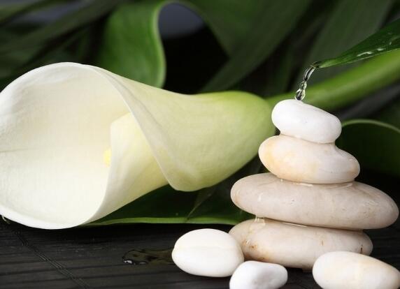 向上生长励志的句子(向上生长好句)(图1) 向上生长励志的句子(向上生长好句)(图1)