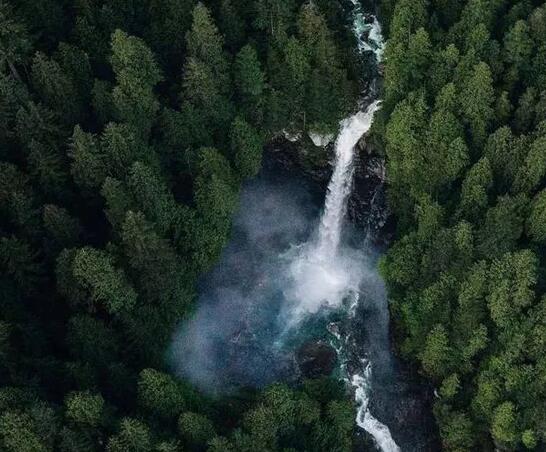 吾家有喜的唯美句子（吾家有喜和我家有喜什么不同）(图1)