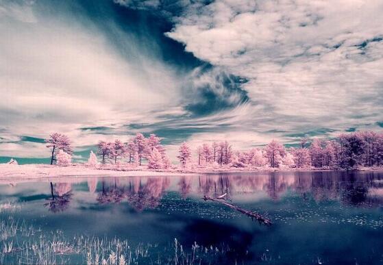 和友情有关的格言警句（和友情有关的格言警句有哪些）(图1)