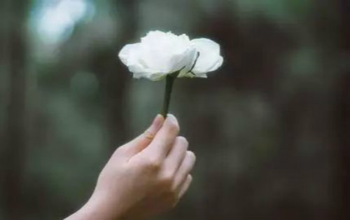 唯有努力奋斗励志名言（坚持努力奋斗的名言）(图1)