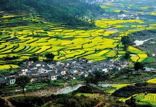 唯美岁月安好的句子（关于岁月美好的句子）(图1)