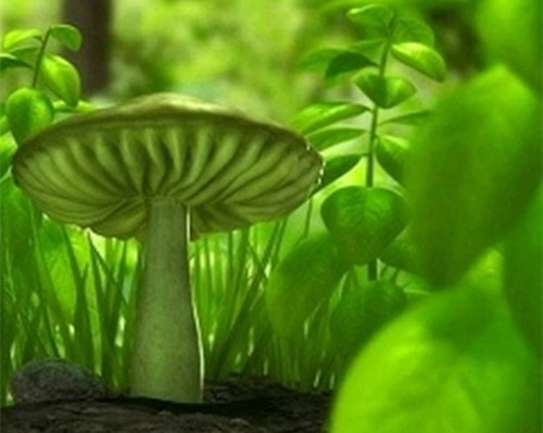 周末暖心祝福语配图(周末温馨祝福语大全)(图1) 周末暖心祝福语配图(周末温馨祝福语大全)(图1)