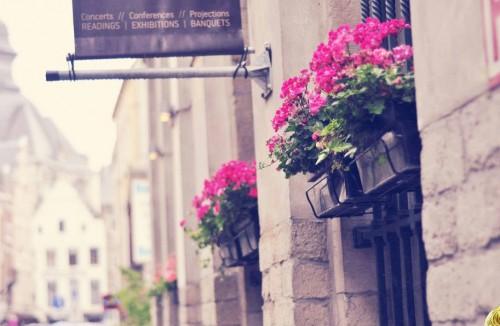 唯美日文短句五字（五个字的日文歌曲）(图1)