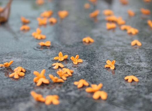 唯美祝福自己的句子(祝福自己的短句子唯美)(图1) 唯美祝福自己的句子(祝福自己的短句子唯美)(图1)