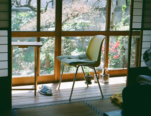 喜欢一段话的经典语录(喜欢一段话的经典语录图片大全大图)(图1) 喜欢一段话的经典语录(喜欢一段话的经典语录图片大全大图)(图1)