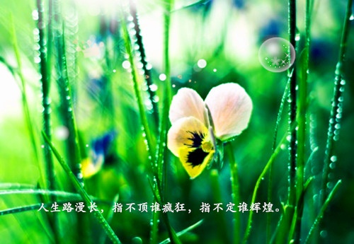 四句名言大全100句(几个名言警句)(图1) 四句名言大全100句(几个名言警句)(图1)