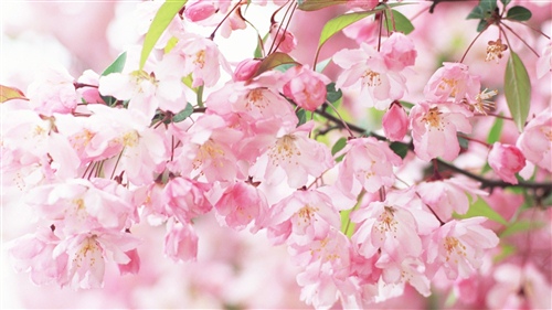 回不去昨天唯美的句子(是回不去的昨天)(图1) 回不去昨天唯美的句子(是回不去的昨天)(图1)