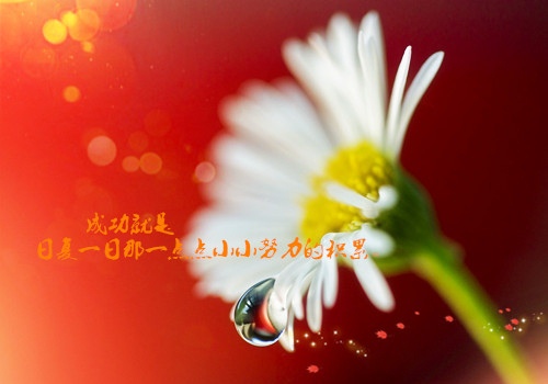 回农村的唯美句子（有关回农村的唯美句子）(图1)