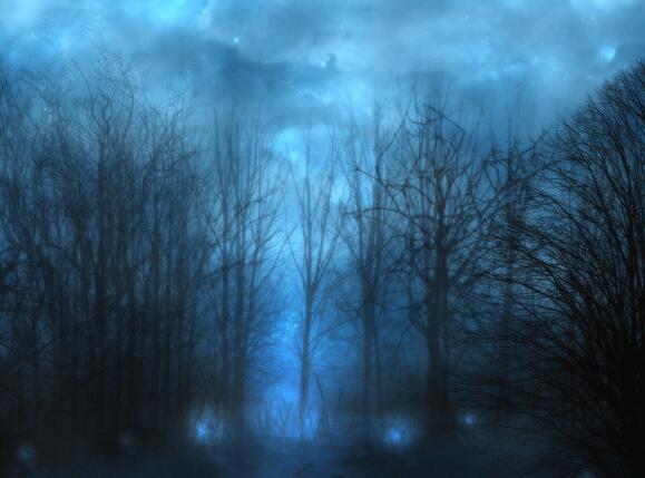 回环句子举例优美（回环句子举例优美）(图1)