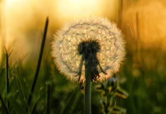 团结英语名言大全（团结合作英文名言）(图1)