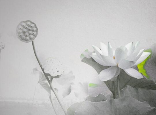 圣诞歌歌词摘抄短句(圣诞歌歌词歌词含义)(图1) 圣诞歌歌词摘抄短句(圣诞歌歌词歌词含义)(图1)