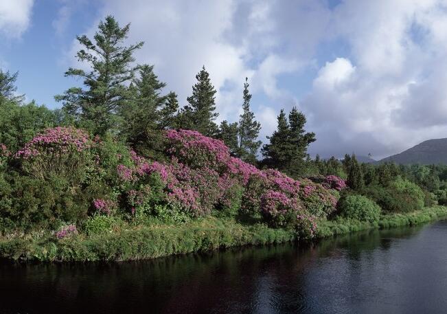 在海里游泳的优美句子(在海里游泳的优美句子简短)(图1) 在海里游泳的优美句子(在海里游泳的优美句子简短)(图1)
