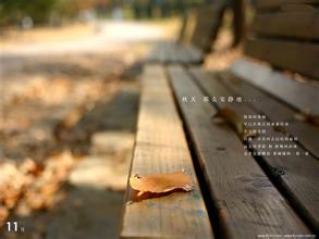 坚强人生的唯美句子（坚强人生的唯美句子简短）(图1)