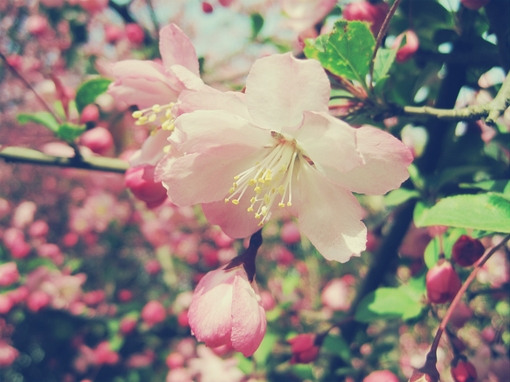 地产销冠格言励志（房地产销售金句经典语录）(图1)