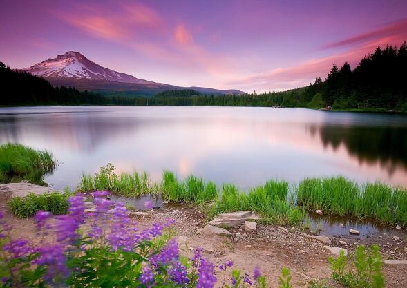 坚持不懈的英文格言（英语坚持不懈的名言）(图1)