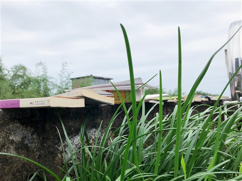 坚持到底的名言励志(坚持到底的名言励志句子)(图1) 坚持到底的名言励志(坚持到底的名言励志句子)(图1)