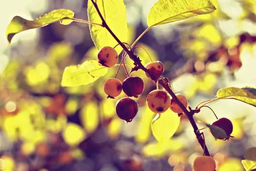 坚持的正能量短句子（坚持正能量的句子短句坚持）(图1)