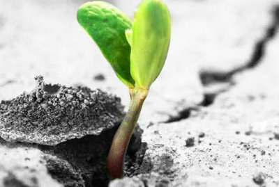 坚持学习好的经典语录(图1)