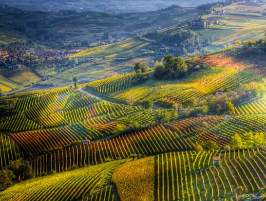 坚持的文案短句干净（干净优质励志文案短句）(图1)