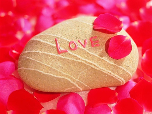 坚持自我个性的唯美句子（坚持自己的个性的句子）(图1)