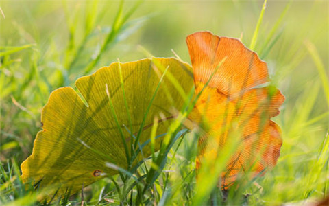 坚持锻炼励志的句子（坚持锻炼身体的励志句子）(图1)